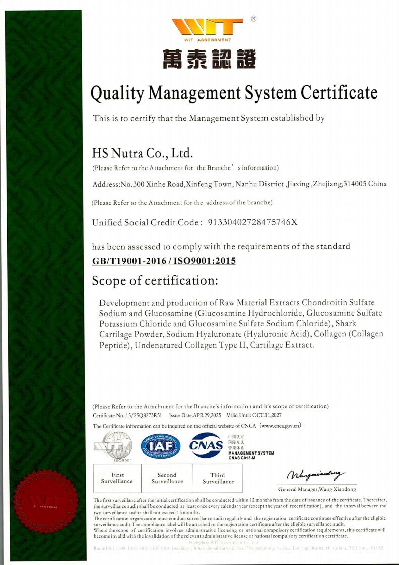 ISO 9001